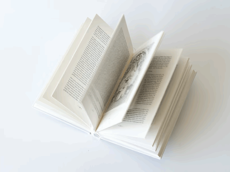 Buch: Albert Jörimann, Kawumm — Temperaturen der Sprache - Animation