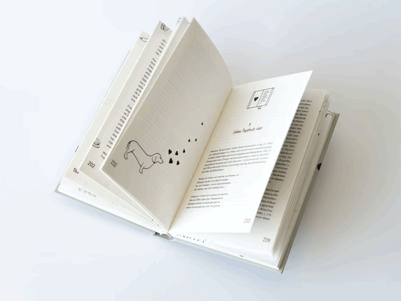 Buch Albert Jörimann, über polnischen Weinebenen - Animation